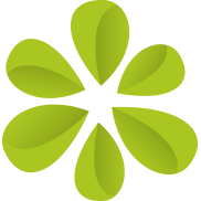 Il progetto